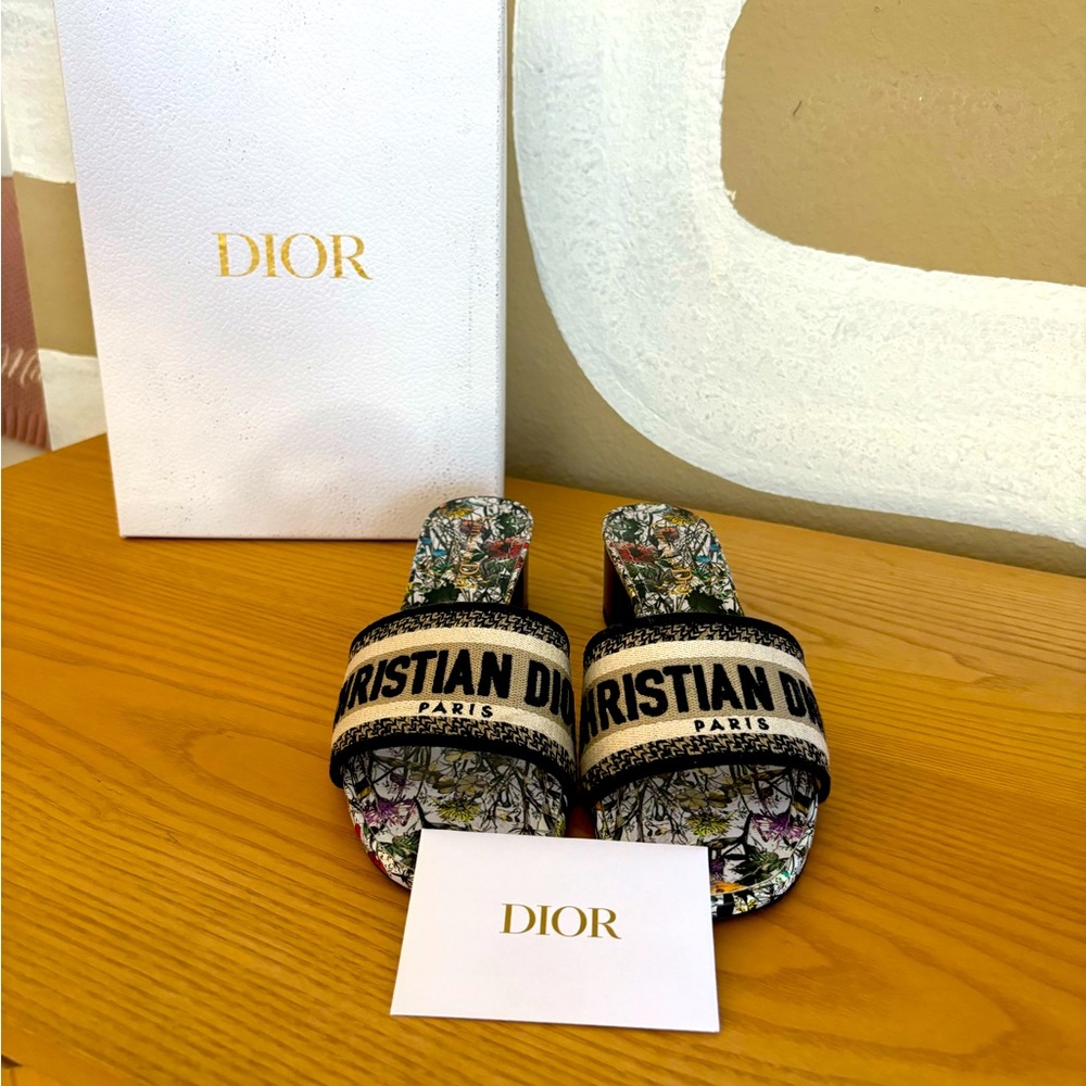 Christian Dior sway sandals